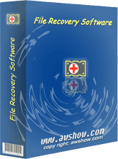 File Recovery Software